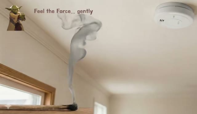 StreamForce force-controlled video generation example